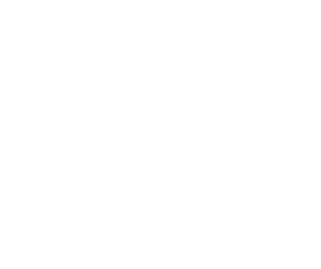 Lightera