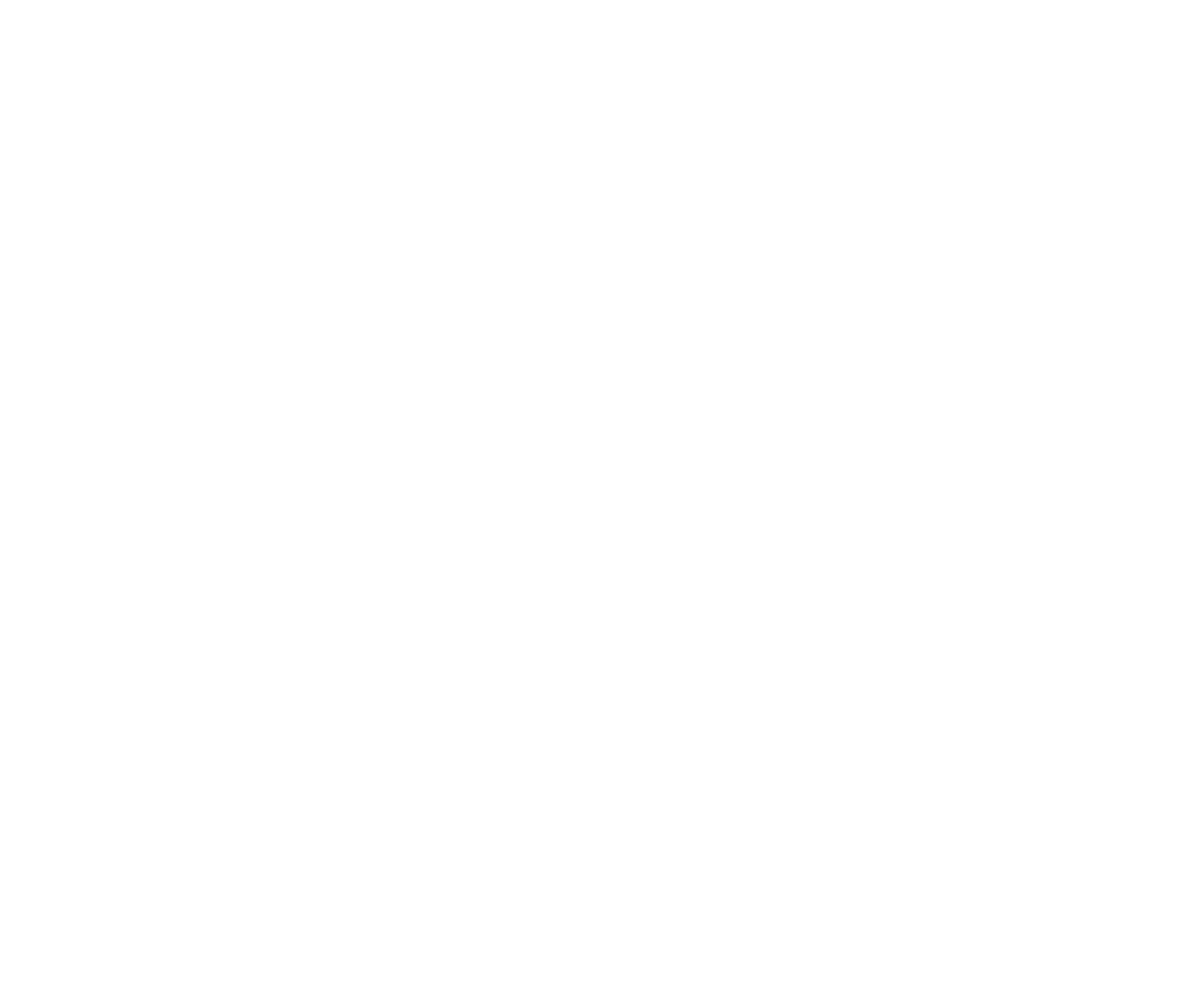 Netskope